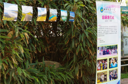 电子pg下载入口