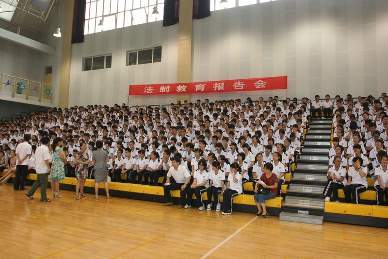 电子pg下载入口