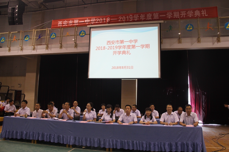 电子pg下载入口