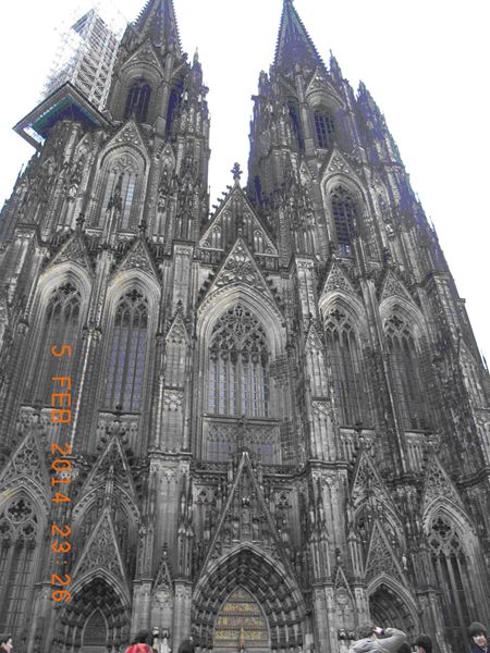 电子pg下载入口