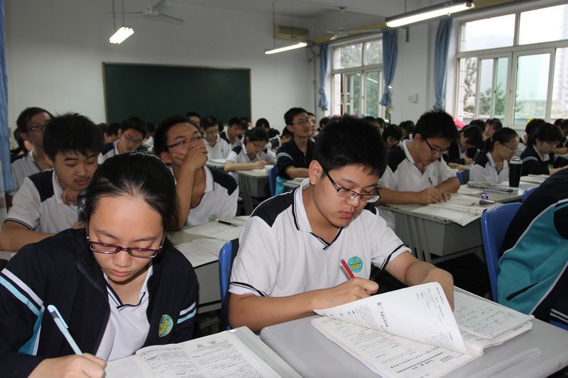 电子pg下载入口
