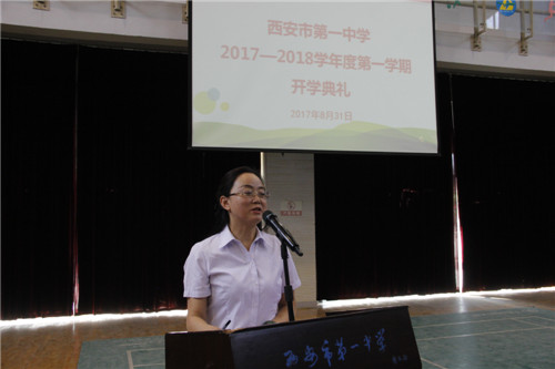 电子pg下载入口