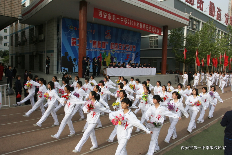 电子pg下载入口