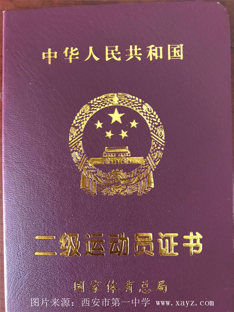电子pg下载入口