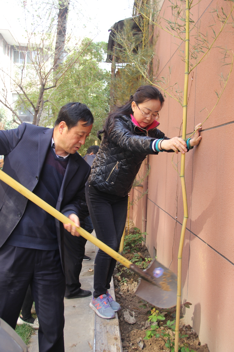 电子pg下载入口