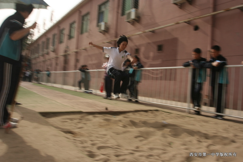 电子pg下载入口