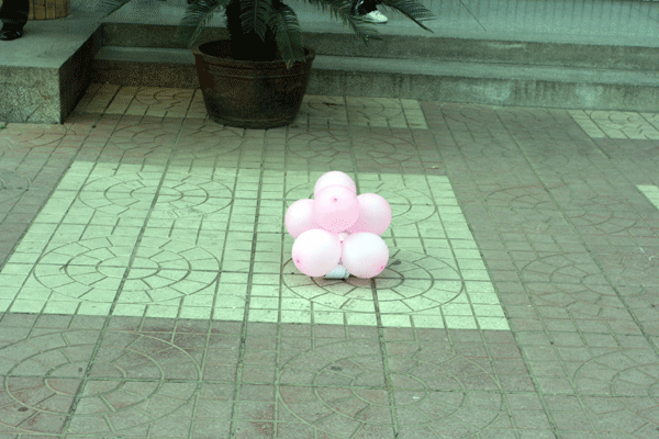 电子pg下载入口