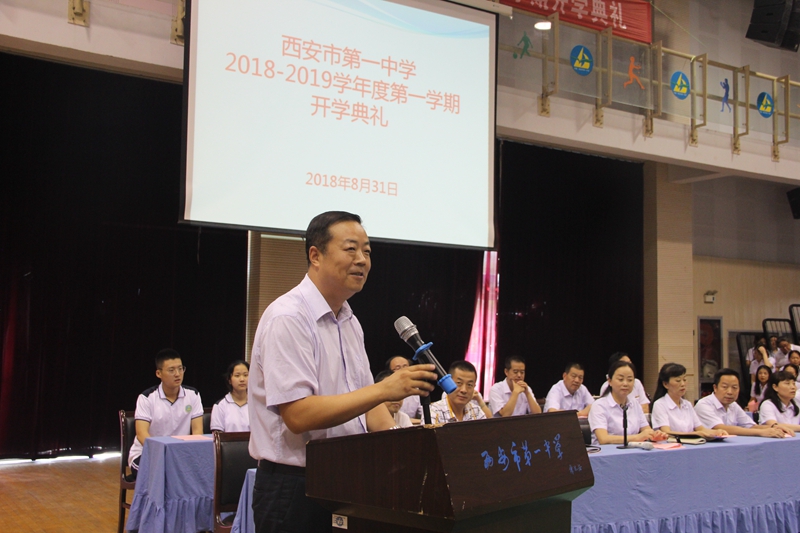 电子pg下载入口