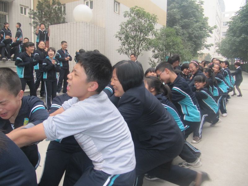 电子pg下载入口