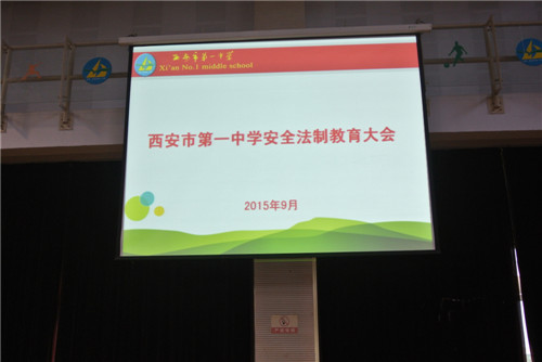 电子pg下载入口