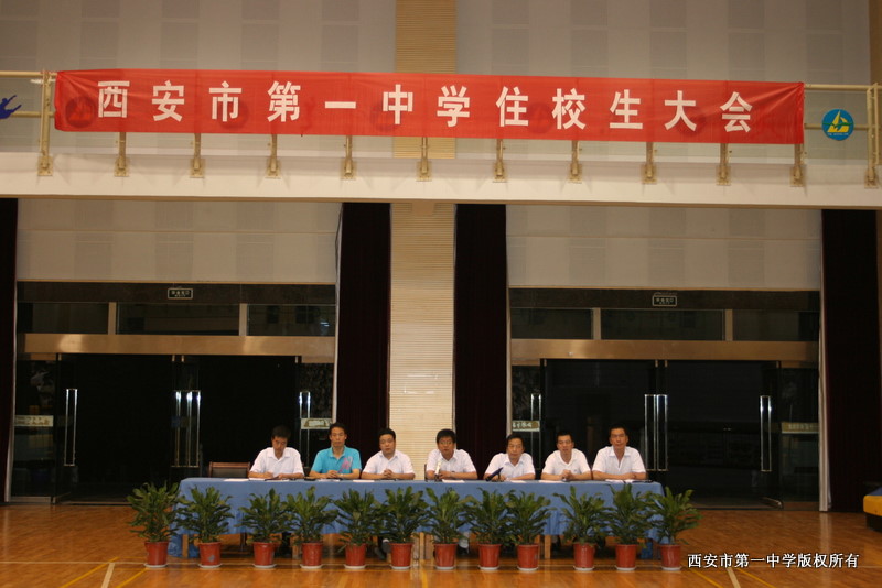 电子pg下载入口