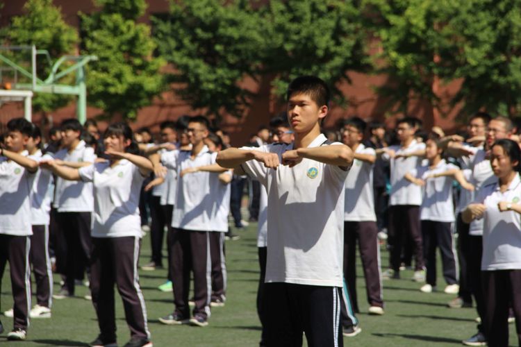 电子pg下载入口