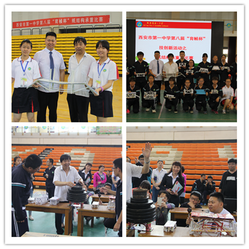 电子pg下载入口