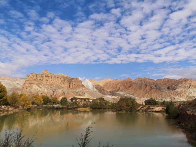 电子pg下载入口