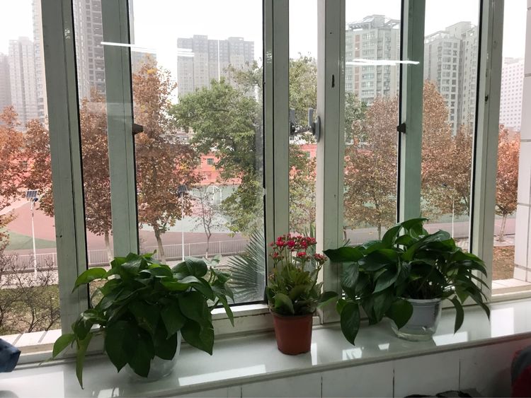 电子pg下载入口