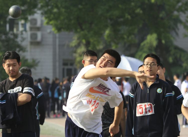 电子pg下载入口