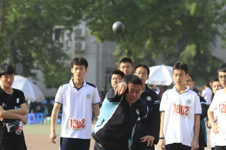 电子pg下载入口