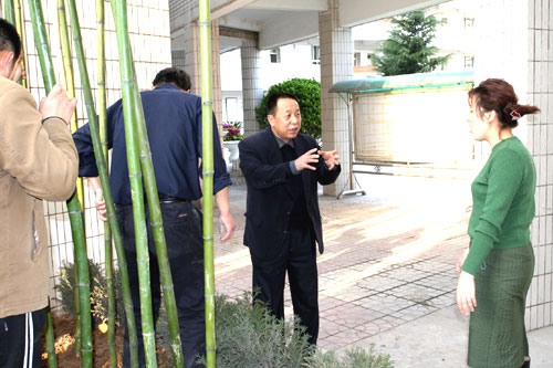 电子pg下载入口