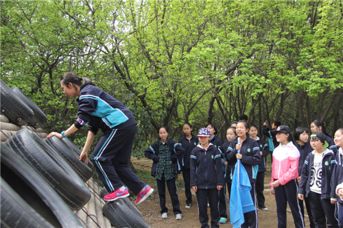 电子pg下载入口