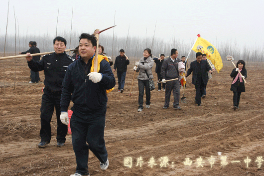 电子pg下载入口