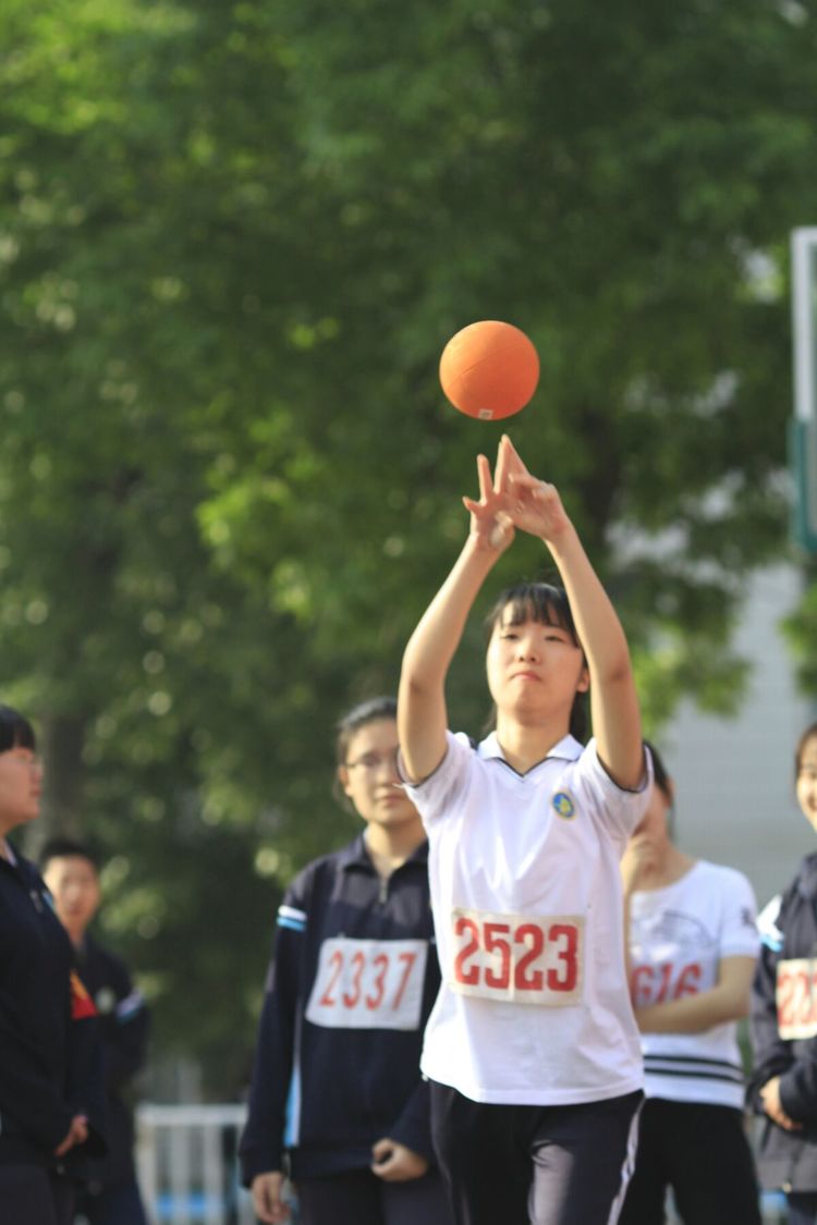 电子pg下载入口