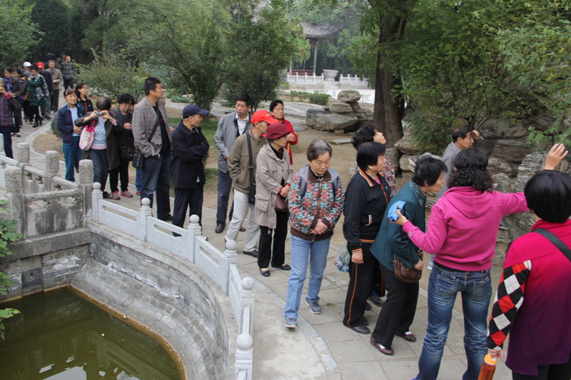 电子pg下载入口