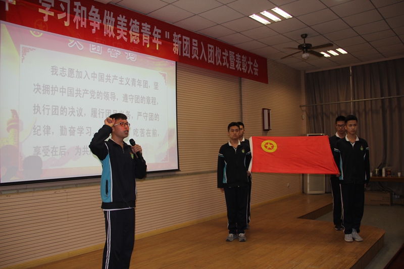 电子pg下载入口