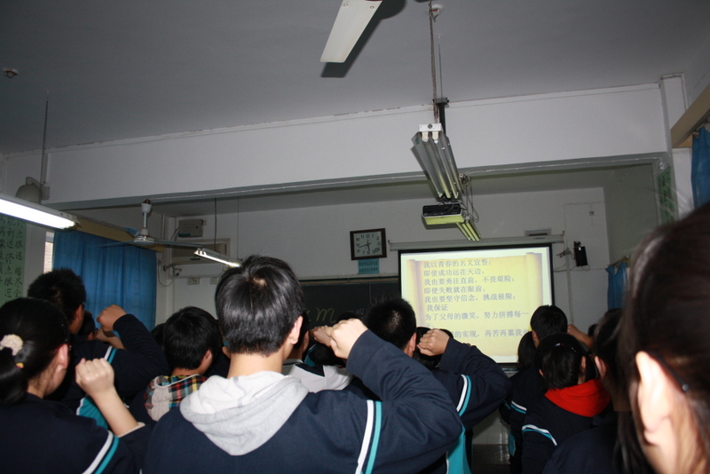 电子pg下载入口