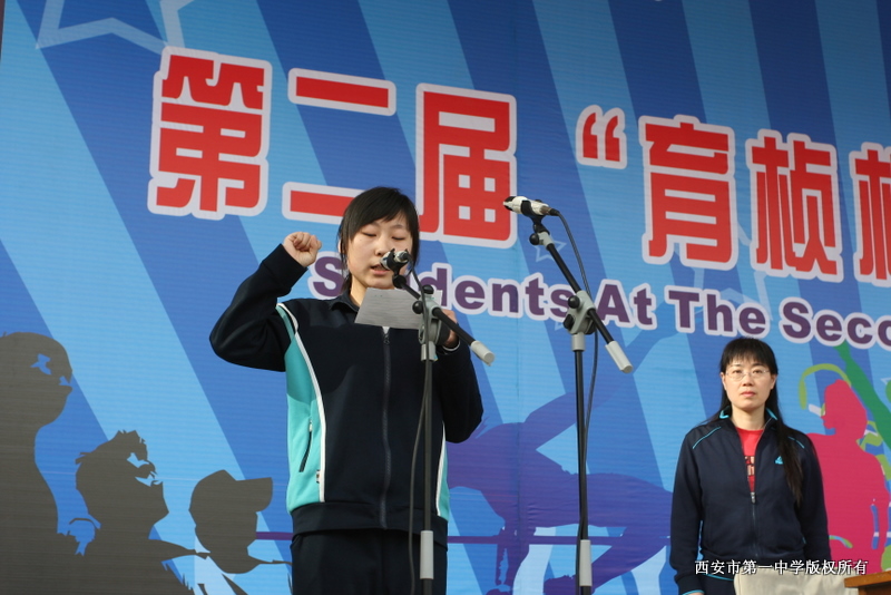 电子pg下载入口