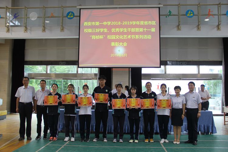 电子pg下载入口