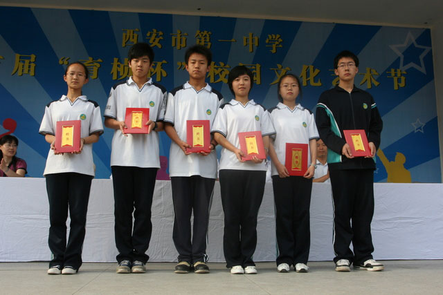 电子pg下载入口