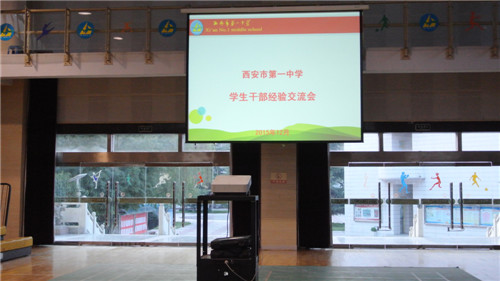 电子pg下载入口