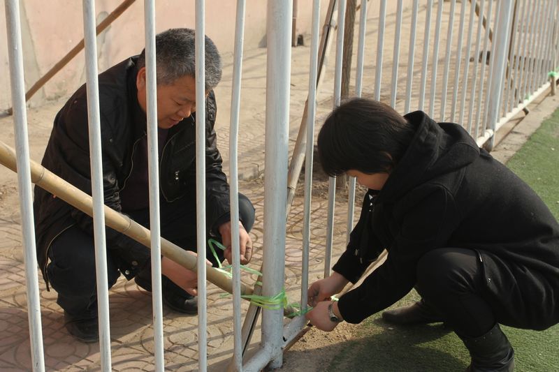 电子pg下载入口