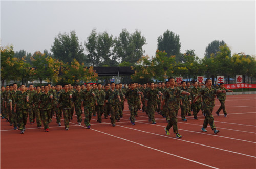 电子pg下载入口