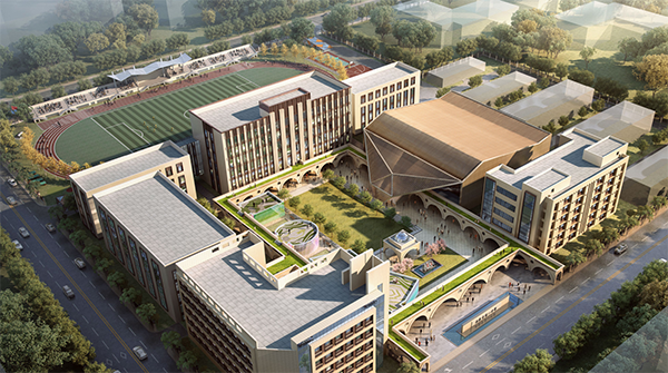 电子pg下载入口