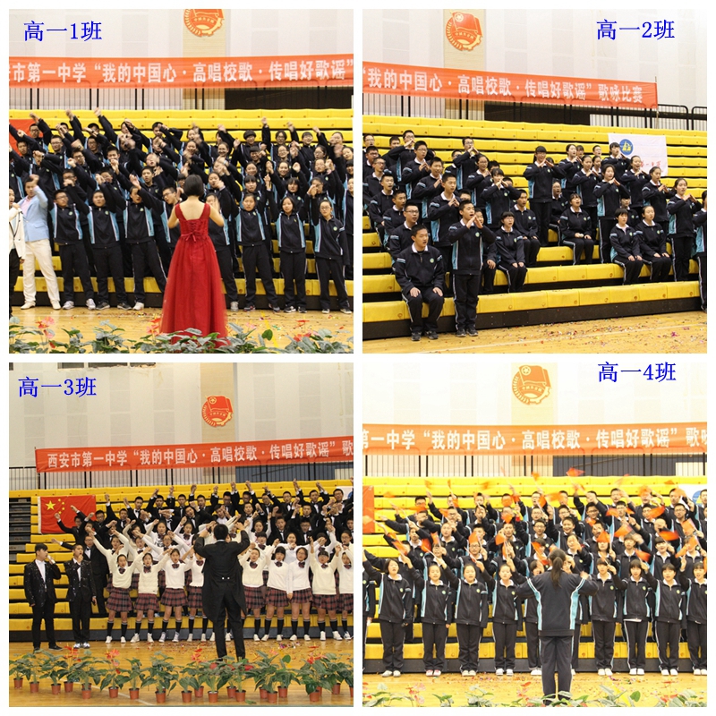 电子pg下载入口