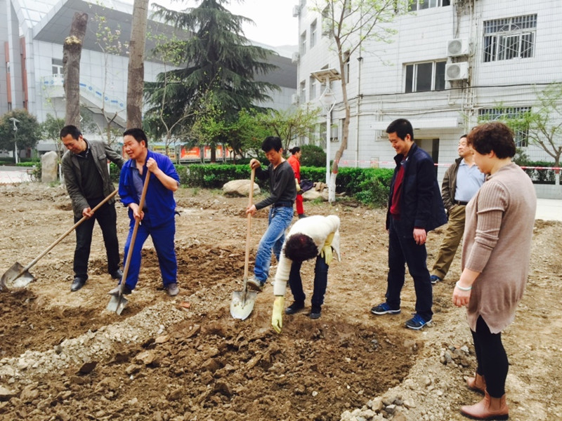 电子pg下载入口