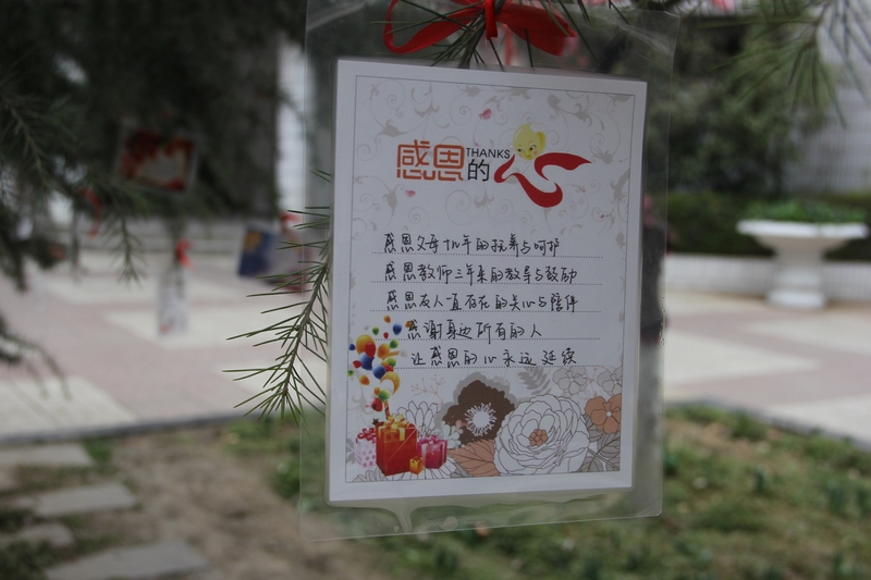 电子pg下载入口