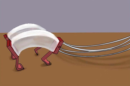 电子pg下载入口