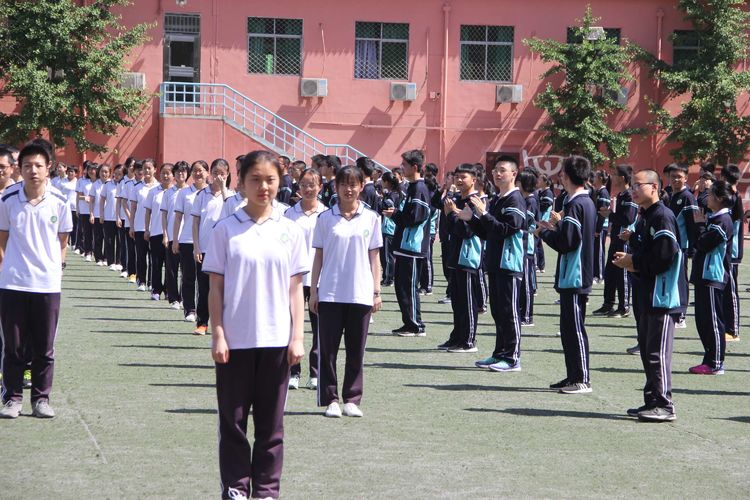 电子pg下载入口