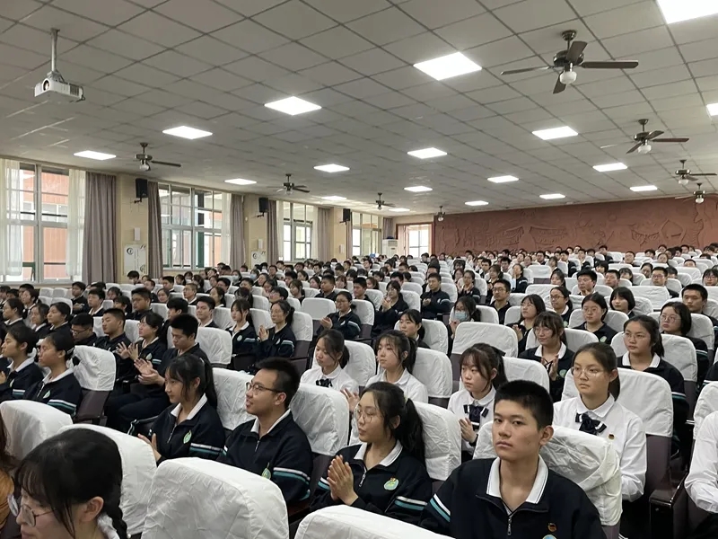 电子pg下载入口