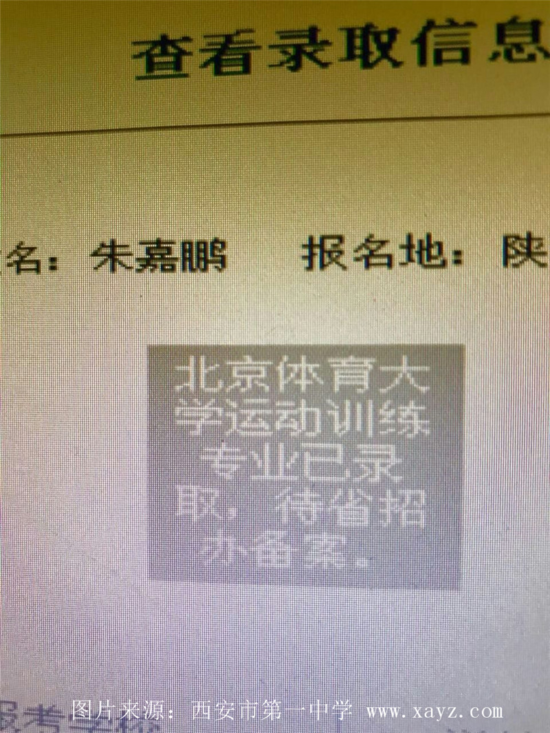 电子pg下载入口