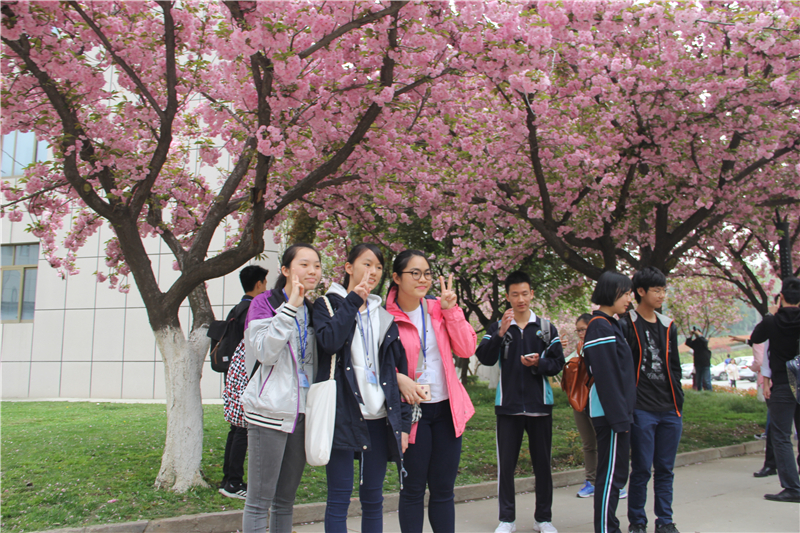 电子pg下载入口