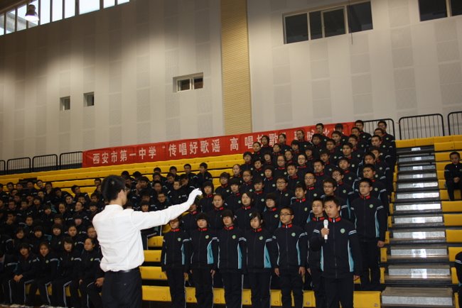 电子pg下载入口