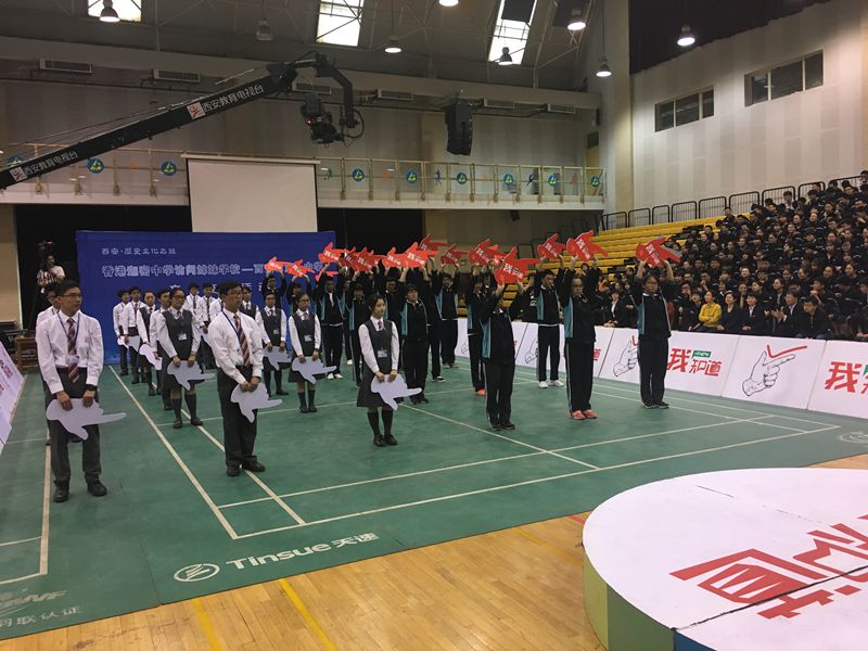 电子pg下载入口