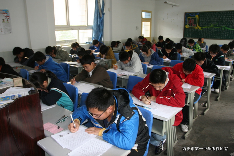 电子pg下载入口