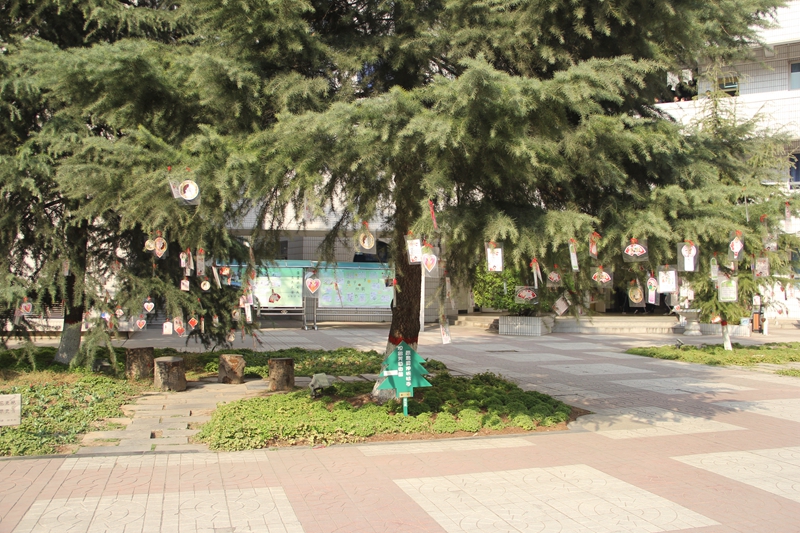 电子pg下载入口