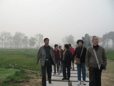 电子pg下载入口