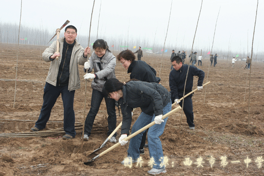 电子pg下载入口