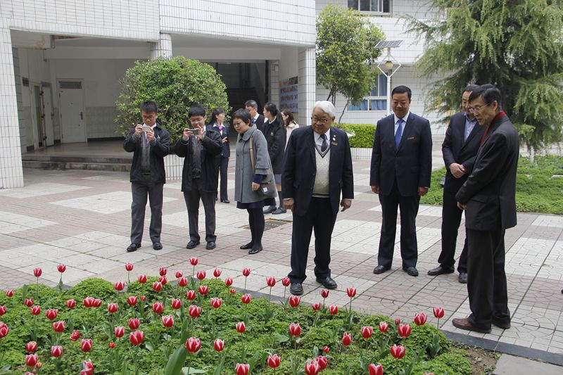 电子pg下载入口